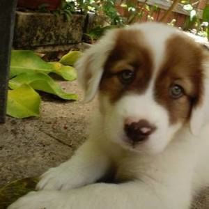 Meet your Posher, Carole